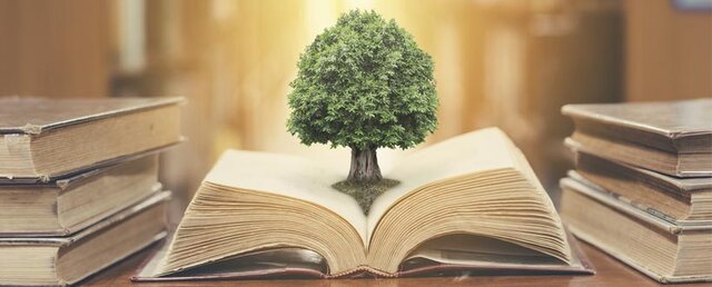 Se acuña el término educación ambiental