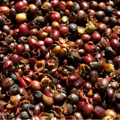 Timeline: 2017 USO DE LA CASCARA DE CAFE- ANA M BLANQUICET D