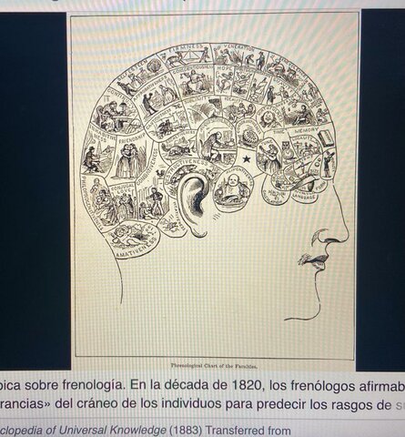 Franz Joseph Gall. Neuroanatomista