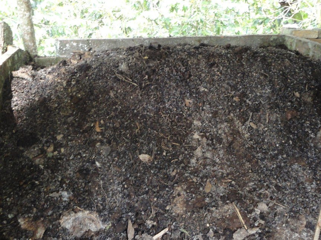 2020 La cáscara de café como compost