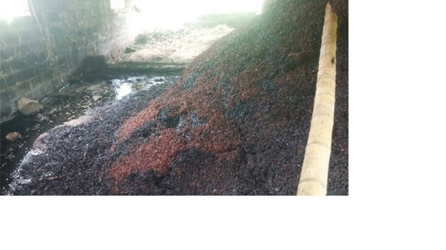 2018 A través del tiempo