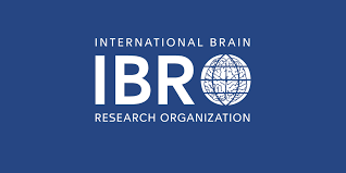 IBRO (International Brain Research Organization)