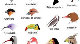 Timeline: Teorías pre-evolucionistas