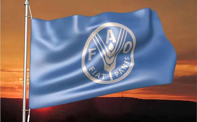 FAO