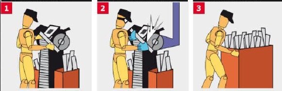 Palop y Vicente 1999