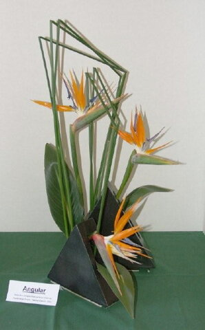 Geometric Mass Design