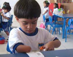 Artículo 47  y  Articulo  68 de la Carta Política