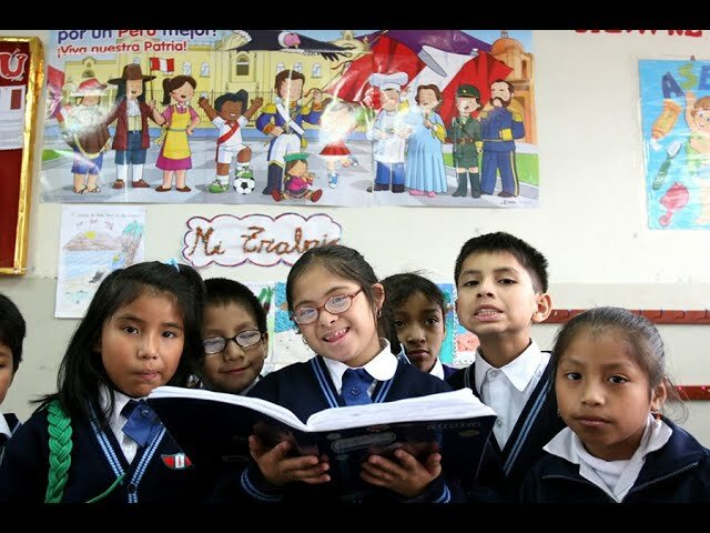 Artículo 11 de la Ley estatutaria en cita ordenó al Ministerio de Educación Nacional