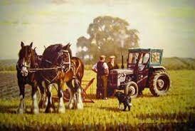 Tractors started to replace horses