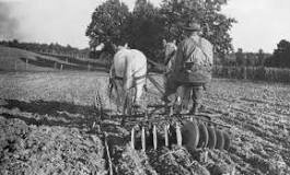 Effects of world war 1