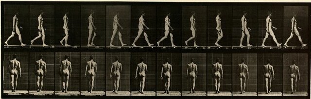Fotografía de Muybridge