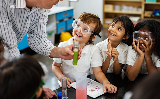 Mis estudios de primaria