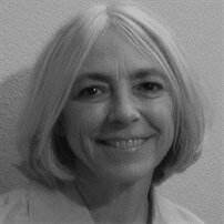 APORTACIONES PARROTT