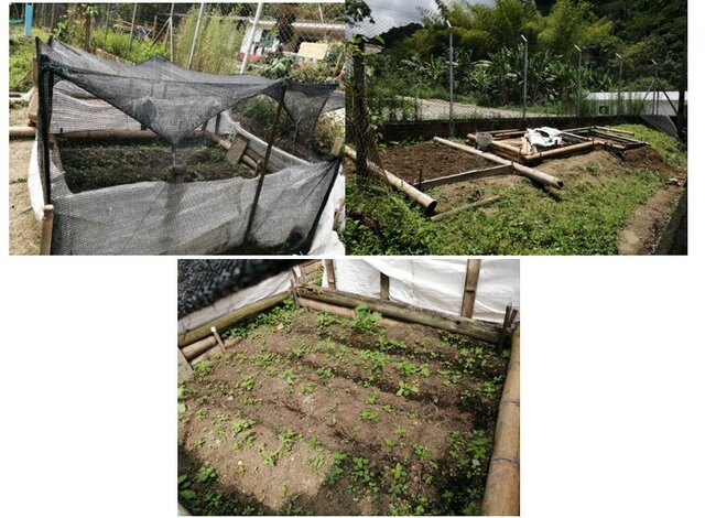 Inicio Huerta escolar, sede La Bamba