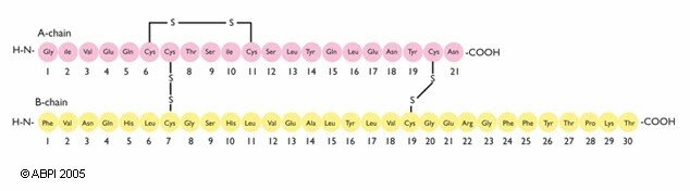 Bioinformática como ciencia de la naturaleza