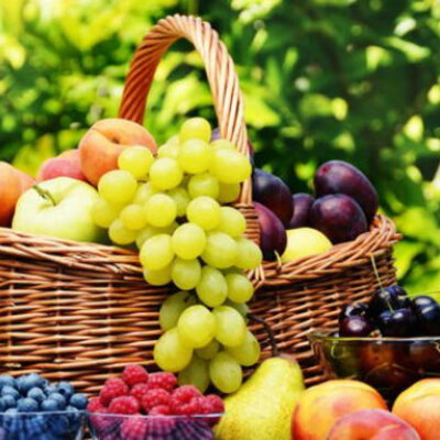 Timeline: El estilo de vida en el plan original y durante la existencia humana