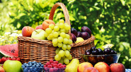 Timeline: El estilo de vida en el plan original y durante la existencia humana