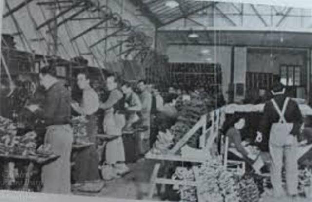 Años 50: “Logística como subproducto”