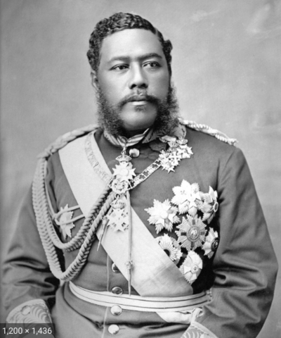 King David Kalakaua elected
