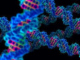 Technological and scientific Development