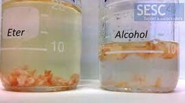 Timeline: ALCOHOL Y ETER