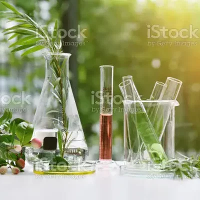 Timeline: Historia de la química orgánica