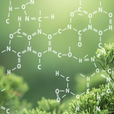 Timeline: quimica organica