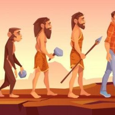 Timeline: EVOLUCION DEL HOMBRE
