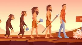 Timeline: EVOLUCION DEL HOMBRE