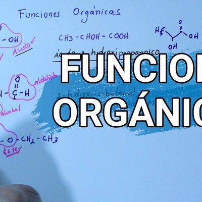 Timeline: FUNCIONES ORGANICAS