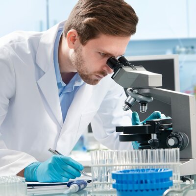 Timeline: Fases del proyecto de investigación