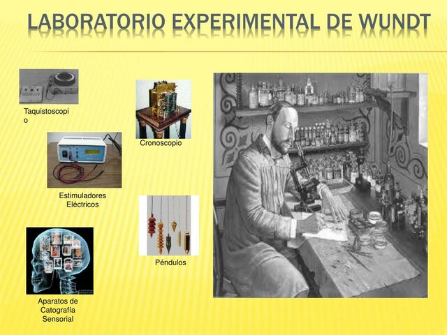 Wilhelm Wundt (1879)