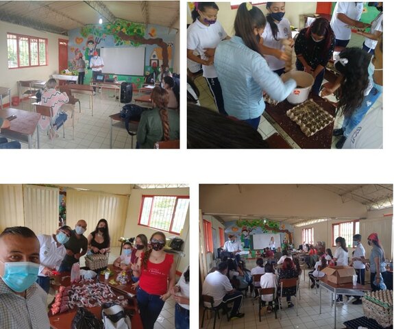 COMPONENTE ADMINISTRATIVO. PPP SEGURIDAD ALIMENTARIA. SOCIALLIZACIÓN Y ENTREGA DE SEMILLAS.