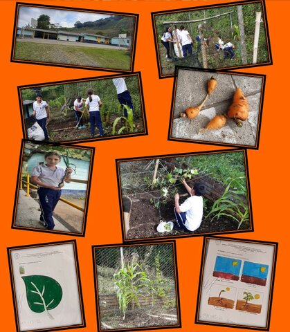 Sede Alto Peñas Blancas