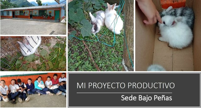 Sede Bajo Peñas Blancas