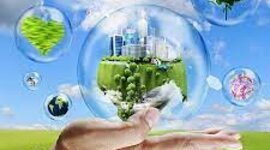 Timeline: Historia de la Educación Ambiental