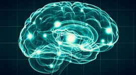 Timeline: Etapas en el desarrollo de la Neuropsicología