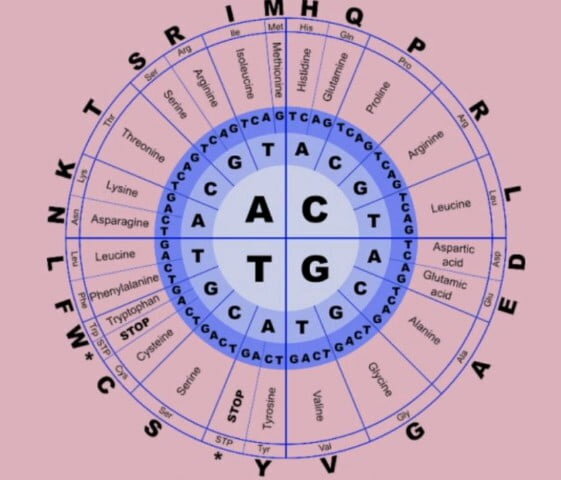 Marshall Nirenberg y H. Gobind Khorana