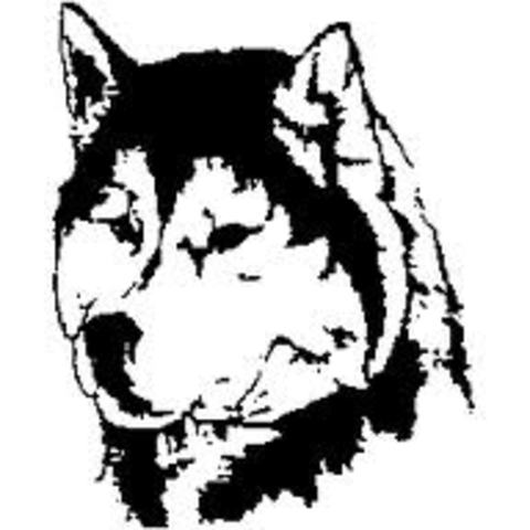 Norwayne @ Northwestern