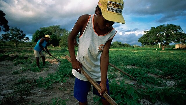 ORIGEN DE TIERRAS COMUNITARIAS EN AMÉRICA