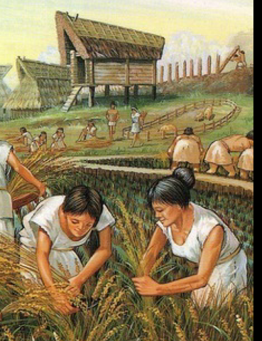 PERÍODO AGRICOLA (8000a 3000a.c.)