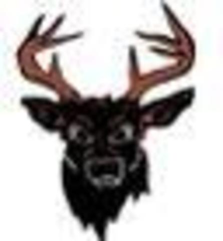 Norwayne vs. Buckeye