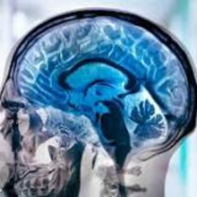 Timeline: Neuropsicología clínica