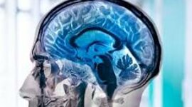 Timeline: Neuropsicología clínica