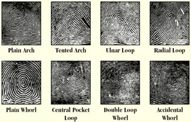 Fingerprint Identification in US