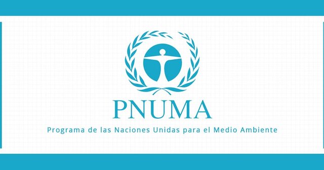 PNUMA