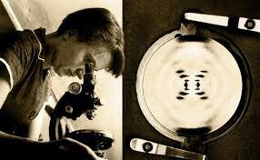 1920 - 1958 ROSALIND FRANKLIN