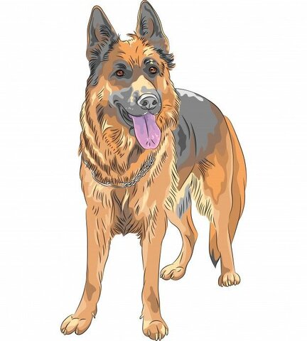 Un nuevo integrante llega a la familia MB- Apolo