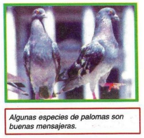 La información de transmisión a larga distancia