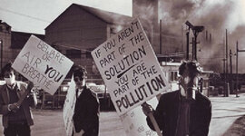 Timeline: Evaluación de impacto ambiental